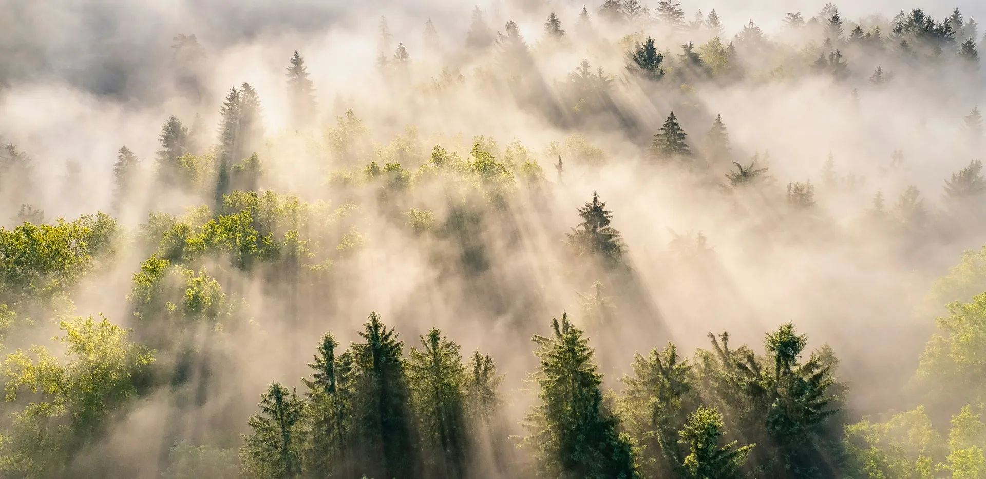 Artfood Traiteur, le goût de de l’engagement